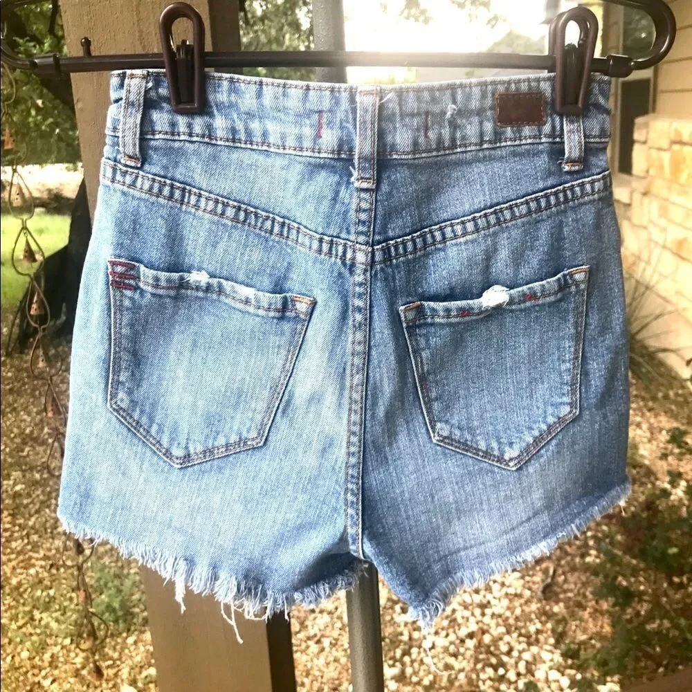 Urban Outfitters 1% shorts